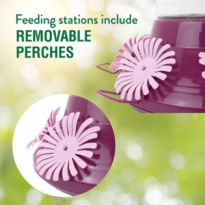 Show full view: Perky-Pet Top-Fill Hummer’s Favorite Glass Hummingbird Feeder slide 4 of 10