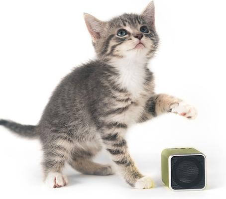 Show full view: Pet Acoustics Pet Tunes Calming Music Cat Speaker slide 2 of 10