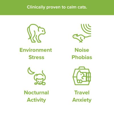 Show full view: Pet Acoustics Pet Tunes Calming Music Cat Speaker slide 5 of 10