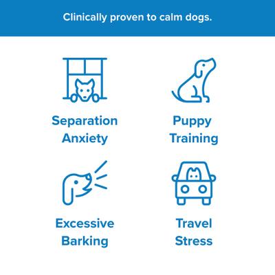 Show full view: Pet Acoustics Pet Tunes Calming Music Dog Speaker slide 5 of 10