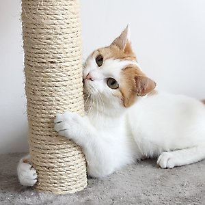 Pet Adobe 19.25-in Polyester Cat Scratching Post with Toys, Brown