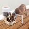 Show in main carousel: Pet Adobe 2-Pack of 3.8L/1G Automatic Dog & Cat Feeders, Tan slide 4 of 7