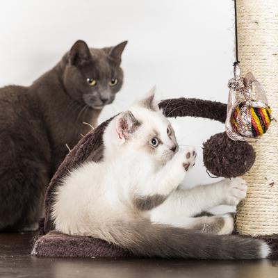 Show full view: Pet Adobe 3-Tier 31-in Sisal Cat Scratching Post slide 6 of 8