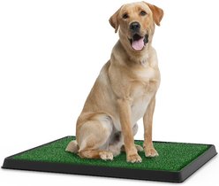 Pet Adobe Artificial Grass Potty Trainer Dog Mat, Medium, 3-Layer