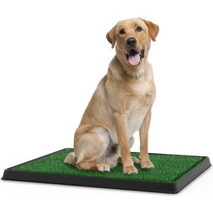 Pet Adobe Artificial Grass Potty Trainer Dog Mat, Medium, 3-Layer