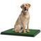Show in main carousel: Pet Adobe Artificial Grass Potty Trainer Dog Mat, Medium, 3-Layer slide 1 of 7