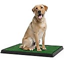 Pet Adobe Artificial Grass Potty Trainer Dog Mat, Medium, 3-Layer