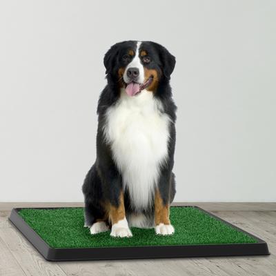 Show full view: Pet Adobe Artificial Grass Potty Trainer Dog Mat, Medium, 3-Layer slide 4 of 7