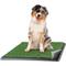 Show in main carousel: Pet Adobe Artificial Grass Potty Trainer Dog Mat, Medium, 4-Layer slide 1 of 7