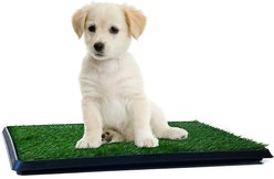 Pet Adobe Artificial Grass Potty Trainer Dog Mat, Small, 3-Layer slide 1 of 3