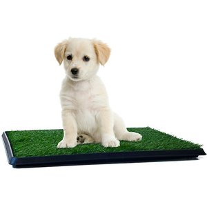 Pet Adobe Artificial Grass Potty Trainer Dog Mat, Small, 3-Layer