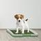 Show in main carousel: Pet Adobe Artificial Grass Potty Trainer Dog Mat, X-Small, 3-Layer slide 5 of 7