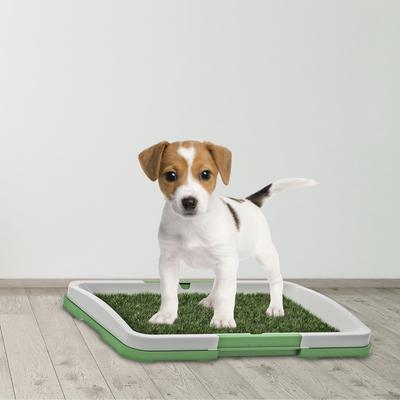 Show full view: Pet Adobe Artificial Grass Potty Trainer Dog Mat, X-Small, 3-Layer slide 5 of 7