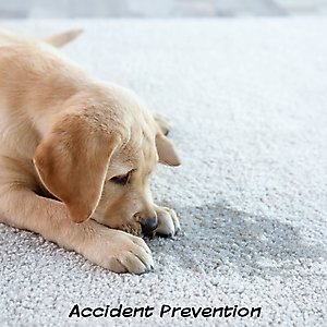 Pet Adobe Artificial Grass Replacement Dog Mat, 3 count, Medium