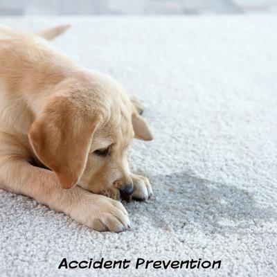 Show full view: Pet Adobe Artificial Grass Replacement Dog Mat, 3 count, Medium slide 3 of 6