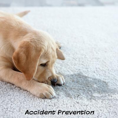 Show full view: Pet Adobe Artificial Grass Replacement Dog Mat, 3 count, Small slide 3 of 6