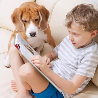 Show full view: Pet Adobe Carpeted Folding Dog & Cat Steps, Dark Gray, 3 Step slide 5 of 8