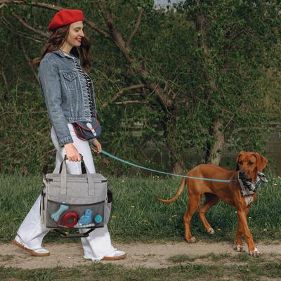 Show full view: Pet Adobe Dog & Cat Travel Bag & Bowl slide 5 of 6