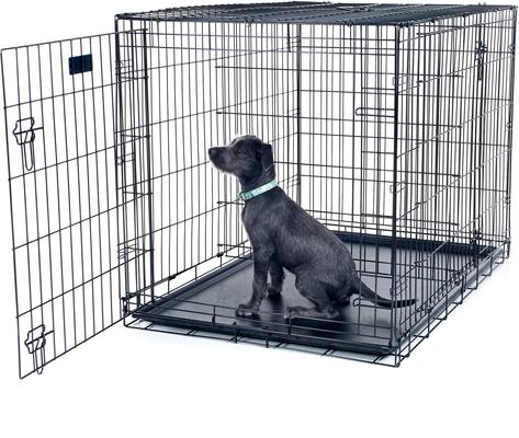 Show full view: Pet Adobe Double Door Folding Metal Dog Crate, 42-in slide 2 of 7