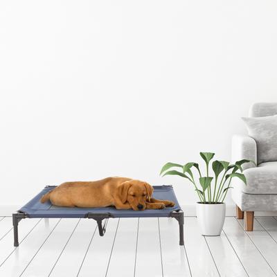 Show full view: Pet Adobe Elevated Dog Bed, Blue, Large slide 7 of 9