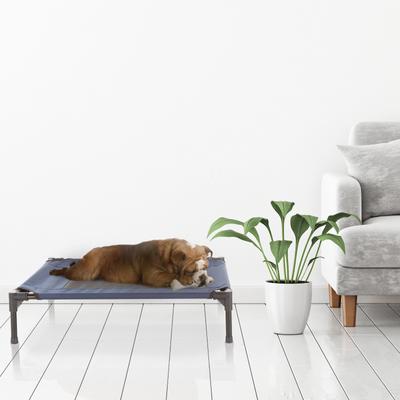 Show full view: Pet Adobe Elevated Dog Bed, Blue, Medium slide 7 of 8