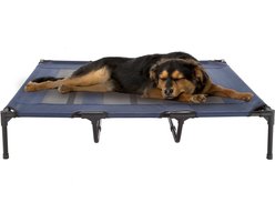 Pet Adobe Elevated Dog Bed, Blue, X-Large