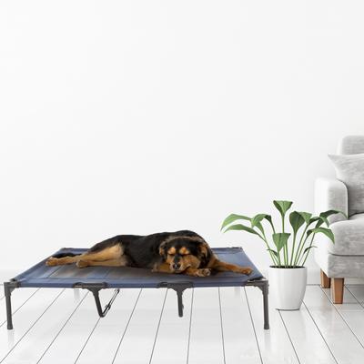 Show full view: Pet Adobe Elevated Dog Bed, Blue, X-Large slide 6 of 9
