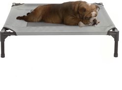 Pet Adobe Elevated Dog Bed, Gray, Medium