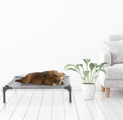 Show full view: Pet Adobe Elevated Dog Bed, Gray, Medium slide 7 of 9