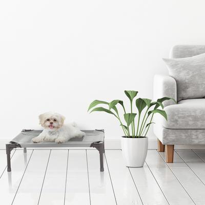 Show full view: Pet Adobe Elevated Dog Bed, Gray, Small slide 7 of 9