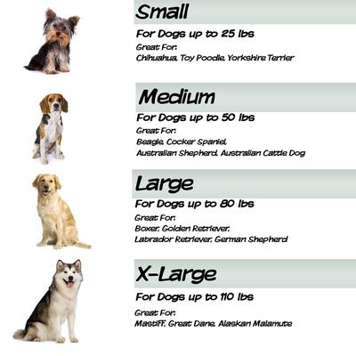 Show full view: Pet Adobe Elevated Dog Bed, Gray, X-Large slide 5 of 9