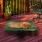 Show in main carousel: Pet Adobe Elevated Dog Bed, Green, Large slide 7 of 10