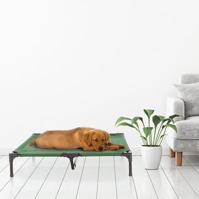 Show full view: Pet Adobe Elevated Dog Bed, Green, Large slide 8 of 10