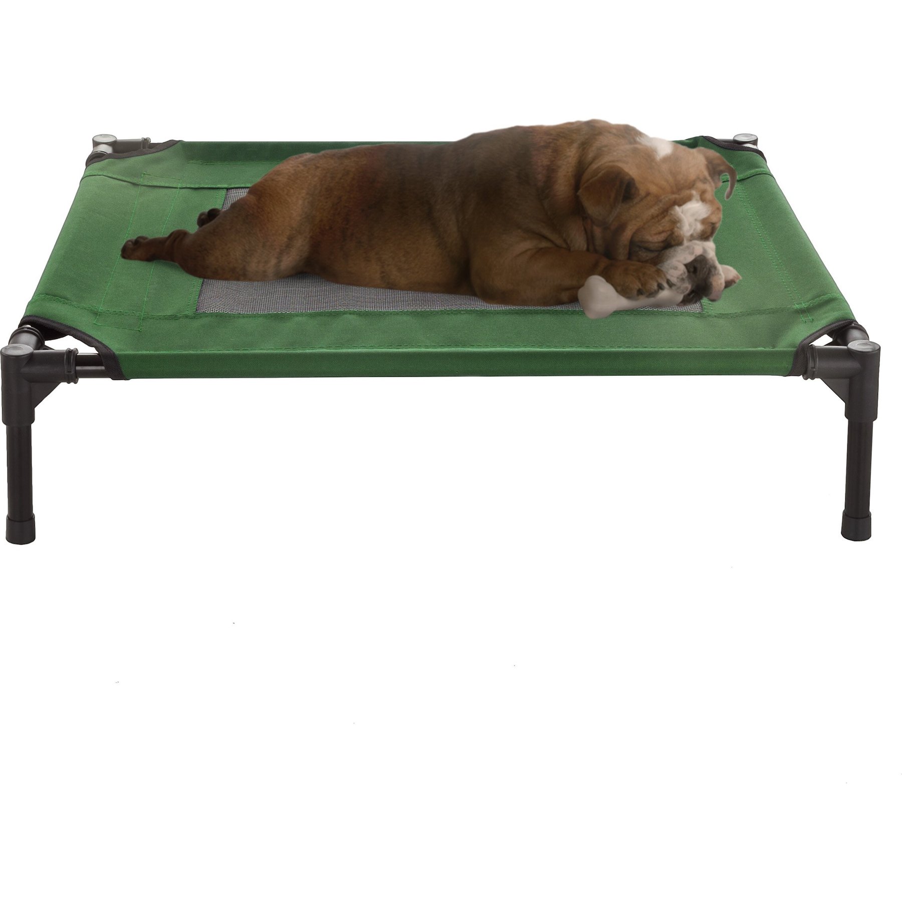 Pet Adobe Elevated Dog Bed, Green, Medium
