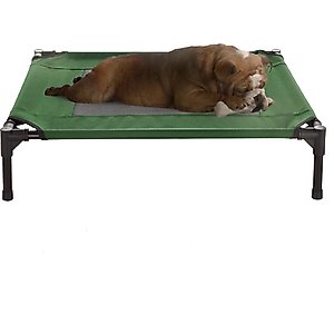 Pet Adobe Elevated Dog Bed, Green, Medium