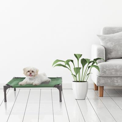 Show full view: Pet Adobe Elevated Dog Bed, Green, Small slide 7 of 9