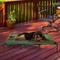 Show in main carousel: Pet Adobe Elevated Dog Bed, Green, X-Large slide 8 of 10