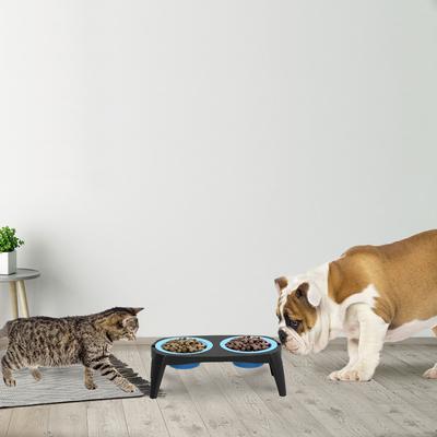 Show full view: Pet Adobe Elevated Dog & Cat Bowls, 2 count, Blue slide 4 of 7