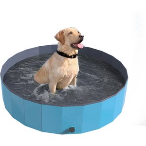 Pet Adobe Foldable Dog Pool, Blue, Large