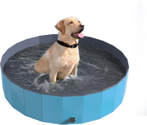 Show full view: Pet Adobe Foldable Dog Pool, Blue, Large slide 5 of 8