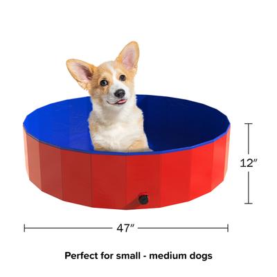 Show full view: Pet Adobe Foldable Dog Pool, Red, Large slide 6 of 9