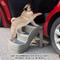 Show in main carousel: Pet Adobe Folding Dog & Cat Steps, Tan, 3 Step- Large slide 6 of 7