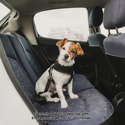 Show full view: Pet Adobe Folding Dog & Cat Steps, Tan, 4 Step- Large slide 5 of 8