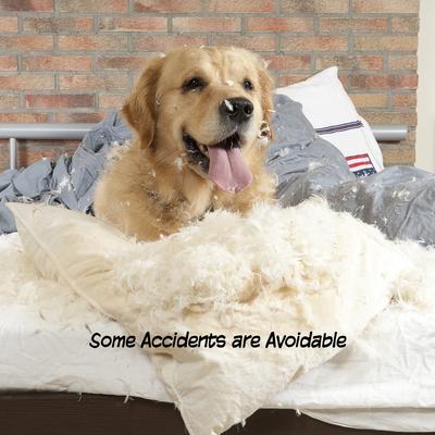 Show full view: Pet Adobe Freestanding Dog & Cat Gate, 3 Panel, Small, White slide 4 of 9