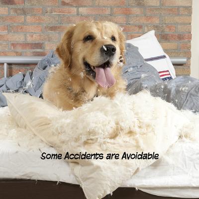 Show full view: Pet Adobe Freestanding Dog & Cat Gate, 4 Panel, Large, White slide 4 of 9