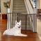 Show in main carousel: Pet Adobe Freestanding Dog & Cat Gate, Brown, 3 Panel slide 1 of 9