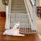 Show in main carousel: Pet Adobe Freestanding Dog & Cat Gate, White, 3 Panel slide 1 of 9