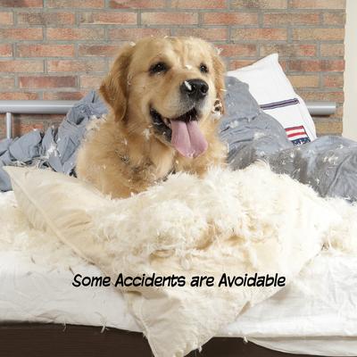 Show full view: Pet Adobe Freestanding Folding Dog & Cat Gate, Gray, 3-Panel, Small slide 4 of 9