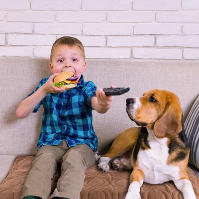 Show full view: Pet Adobe Furniture Cover & Protector Pad slide 5 of 9