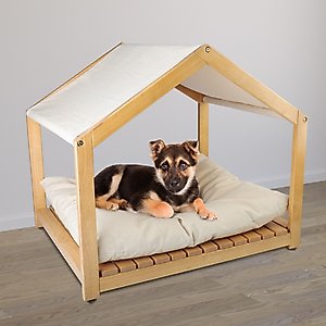 Pet Adobe Indoor Dog House